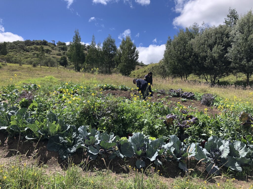 Food security in Cundinamarca