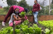 Food security in Cundinamarca