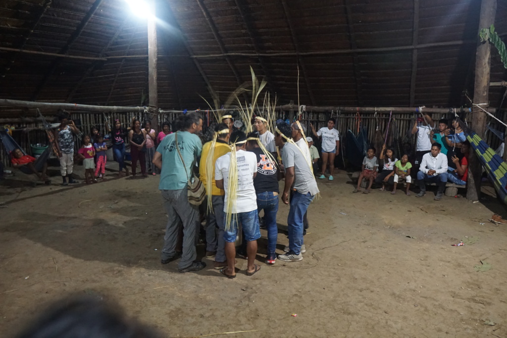 The traditional Maijuna dance of the bees