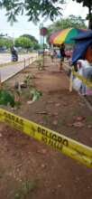 Urban reforestation in Puerto Maldonado