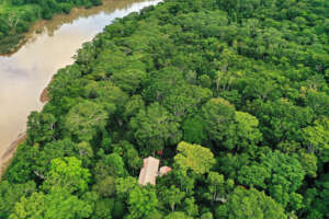 Tambopata River & CV Baltimori. By JC Huayllapuma