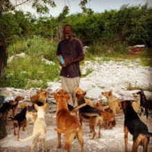 Multiple Pet Owner