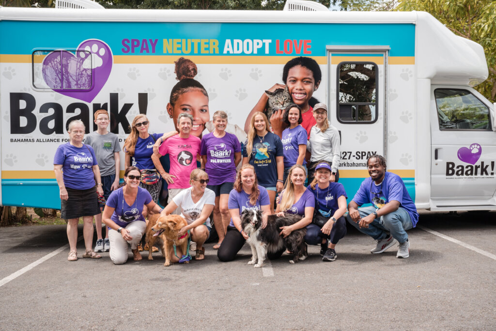 Spay and Neuter 10,000 Dogs & Cats In The Bahamas