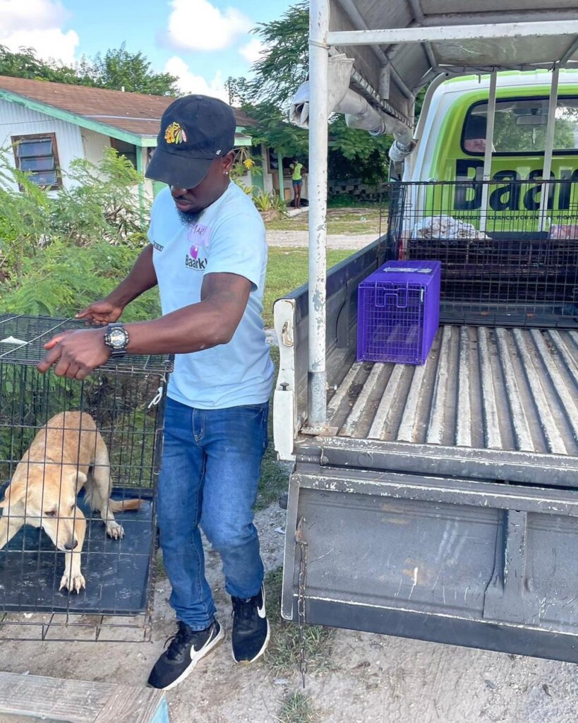 Spay and Neuter 10,000 Dogs & Cats In The Bahamas