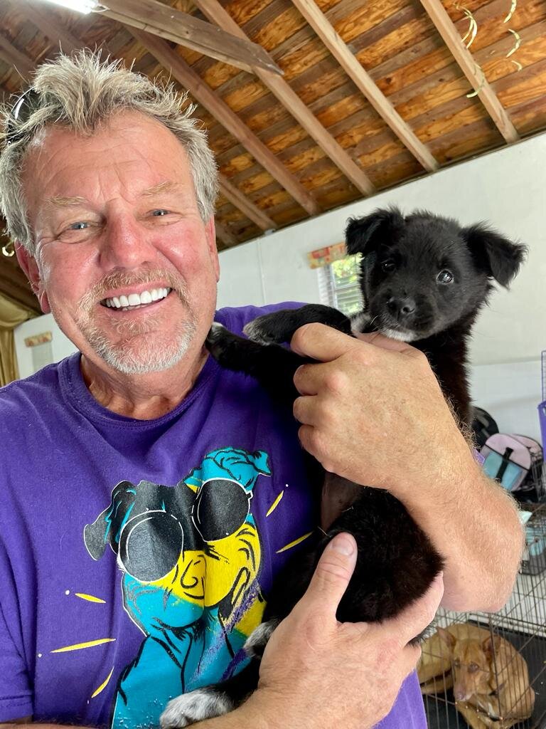 Spay and Neuter 10,000 Dogs & Cats In The Bahamas