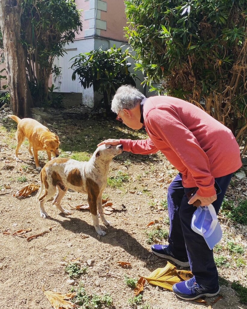 Spay and Neuter 10,000 Dogs & Cats In The Bahamas