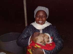 cold season, better to show on puppy than maggots