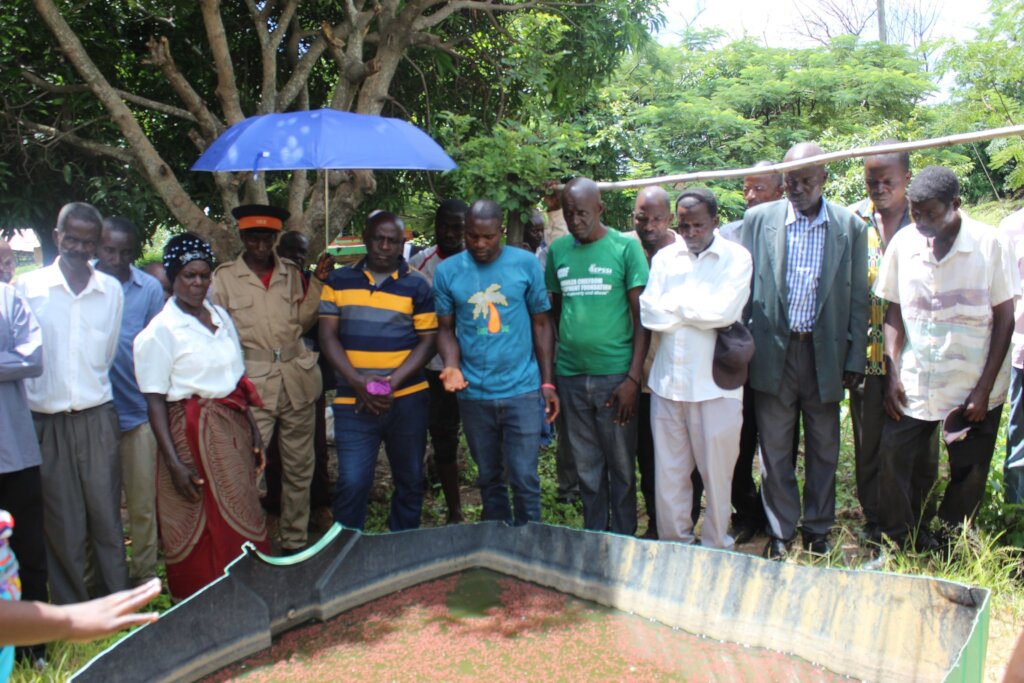 With chickenfeed against climate change & poverty