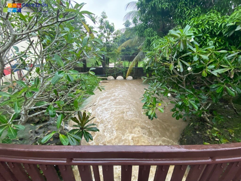 Relief fund typhoons Agaton and Malakas