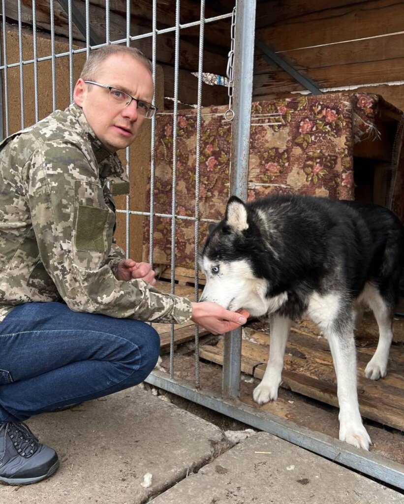 PROTECT PETS FROM UKRAINE!