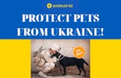 PROTECT PETS FROM UKRAINE!