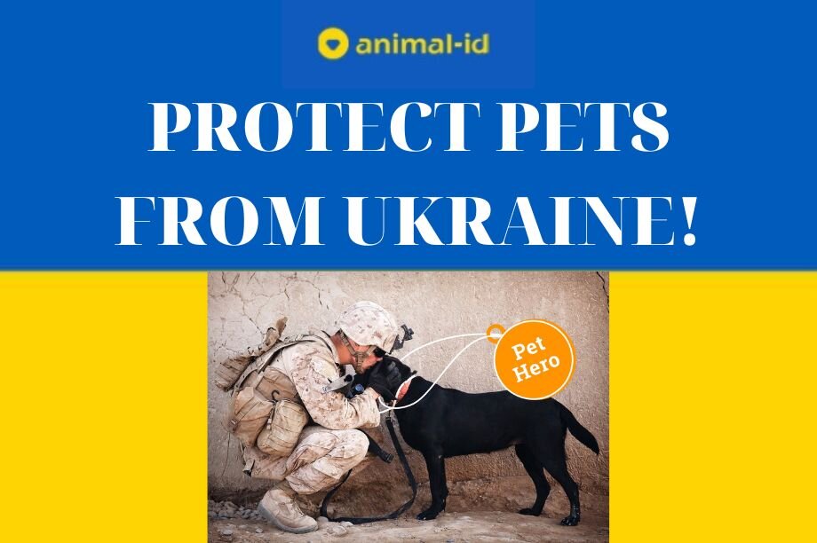 PROTECT PETS FROM UKRAINE!