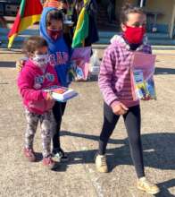 Remote Education for Girls in Brazil