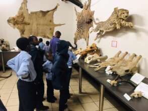 lessons in the Kruger National Park
