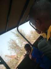 Seeing wildlife up close on safari.