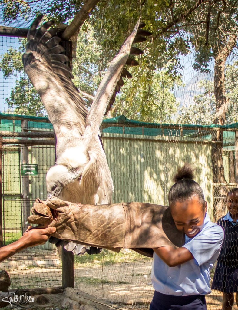 Daytrips to Connect Children to African Wildlife