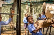 Daytrips to Connect Children to African Wildlife