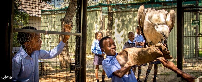 Daytrips to Connect Children to African Wildlife