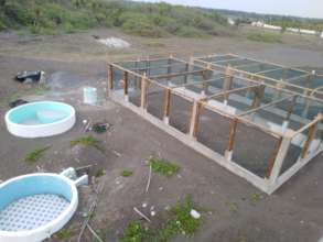 Hawaii hatcheries and rehabilitation tanks