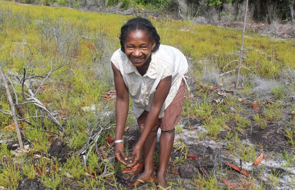 Threatened biodiversity in Madagascar