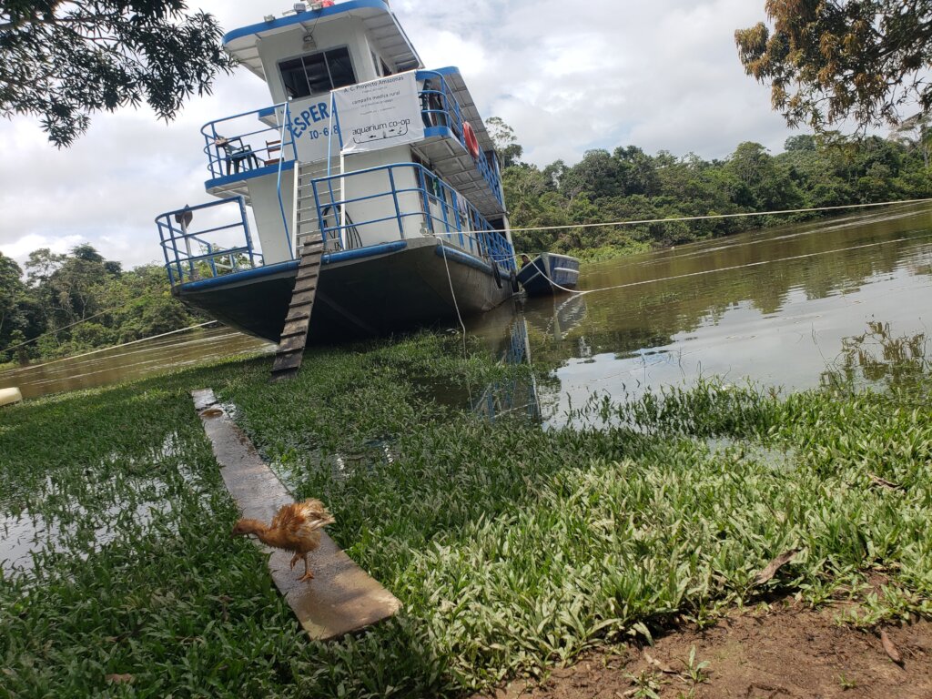 Covid-19 medical relief in the Peruvian Amazon