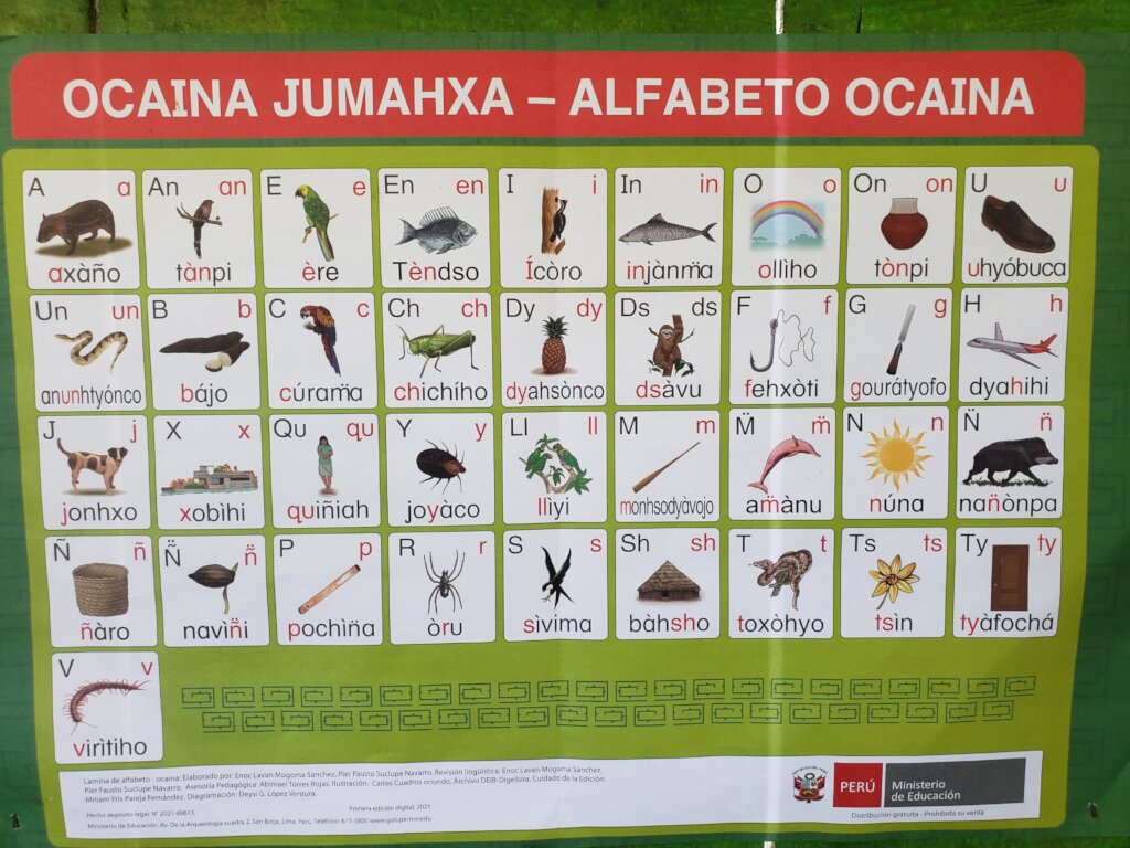 Covid-19 medical relief in the Peruvian Amazon