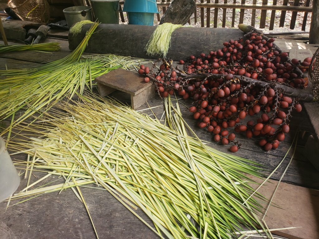 Covid-19 medical relief in the Peruvian Amazon