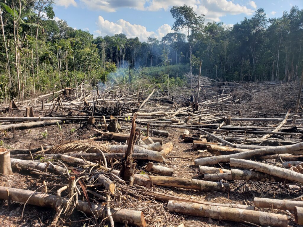 Covid-19 medical relief in the Peruvian Amazon