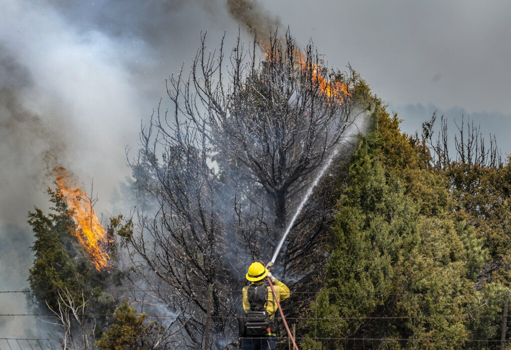 New Mexico Wildfire Relief Fund