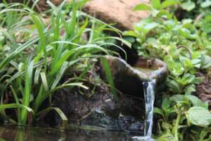 Photo: Drop of Water