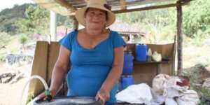 Photo: Red COMAL