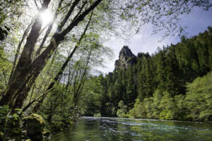 Photo: Western Rivers Conservancy