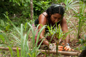 Help Save Victimized Wildlife