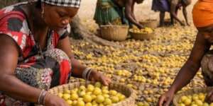 Photo: Kudvumisa Foundation