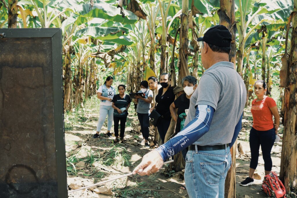 Help women's sustainable businesses in Costa Rica