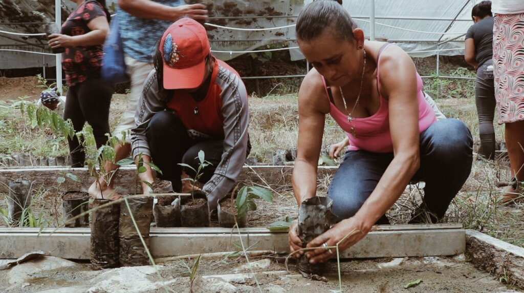 Help women's sustainable businesses in Costa Rica