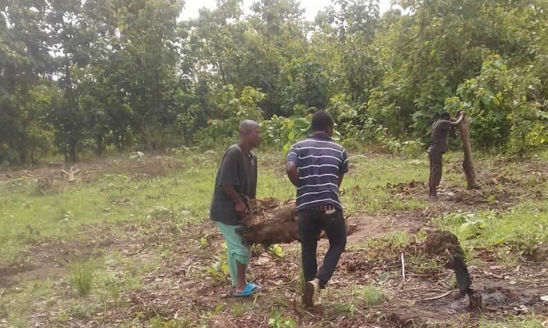 Drill a Well and Irrigate a new farm in Benin