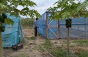 Drill a Well and Irrigate a new farm in Benin
