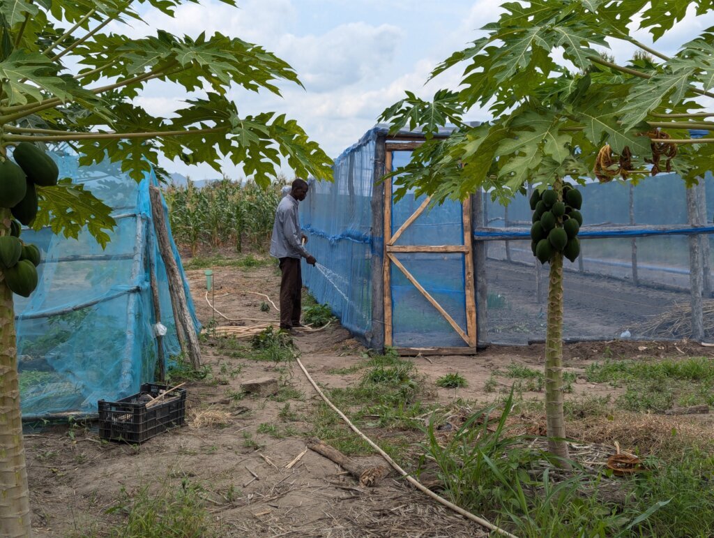 Drill a Well and Irrigate a new farm in Benin