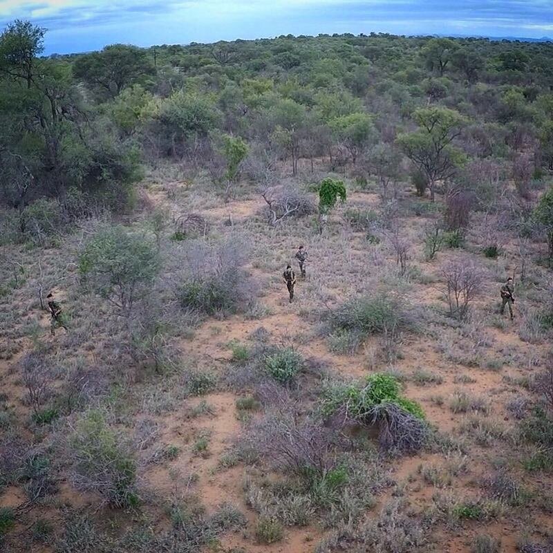 Getting between the Animals and the Poachers