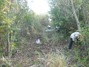 people working on maintenance of firebreaks