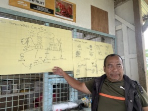Permaculture as a means to produce seeds