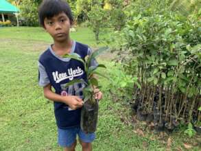 Improving seedling source