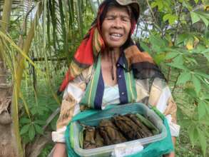 Continue with support