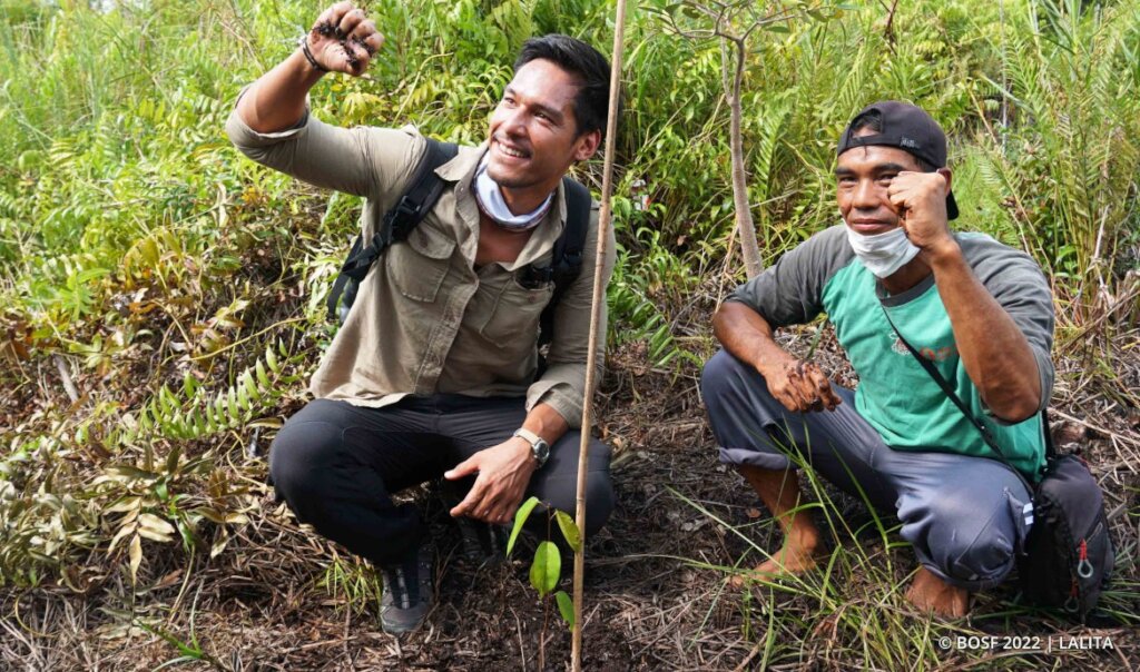 Reforesting Crucial Orangutan Habitat in Borneo