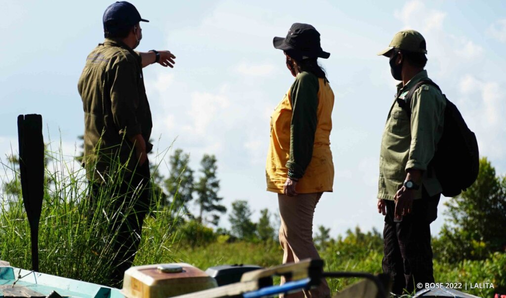 Reforesting Crucial Orangutan Habitat in Borneo