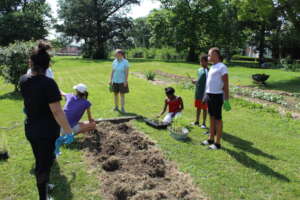 Community garden