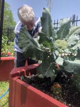 Flourishing gardens, thanks to you!