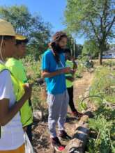 Community members planting gardens