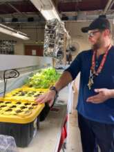Urban farming in action